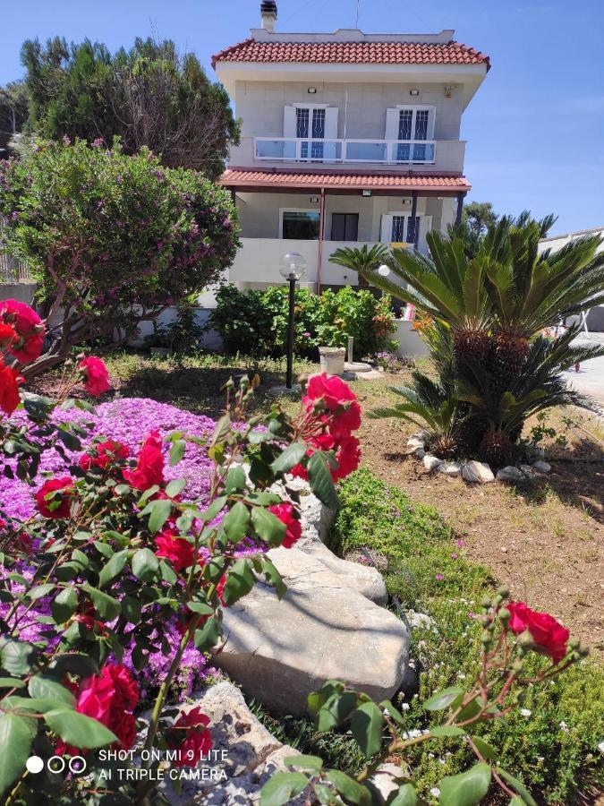 Seagull Apartments - Front And Sea View & Airport Bari Luaran gambar