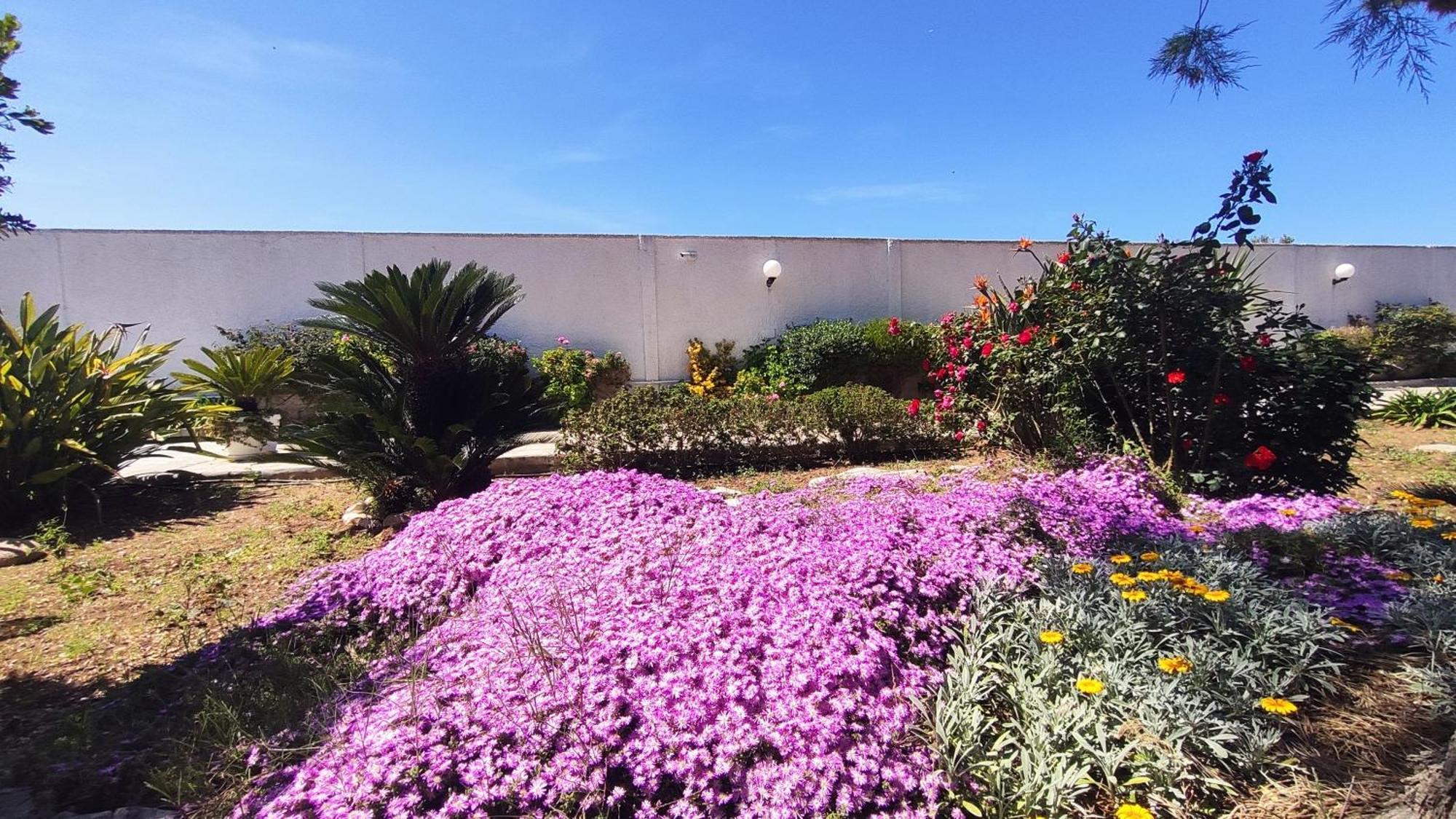 Seagull Apartments - Front And Sea View & Airport Bari Luaran gambar