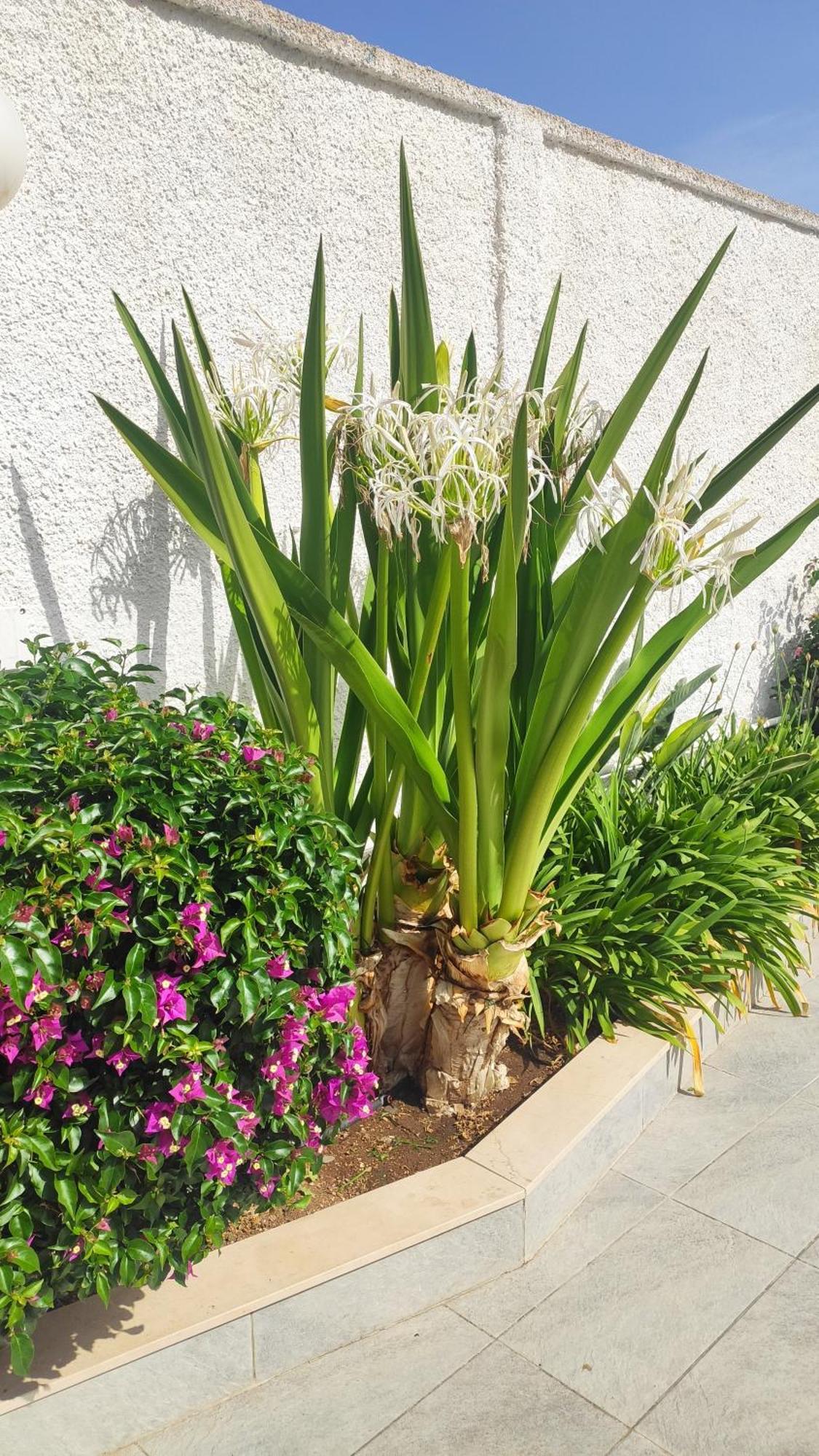 Seagull Apartments - Front And Sea View & Airport Bari Luaran gambar