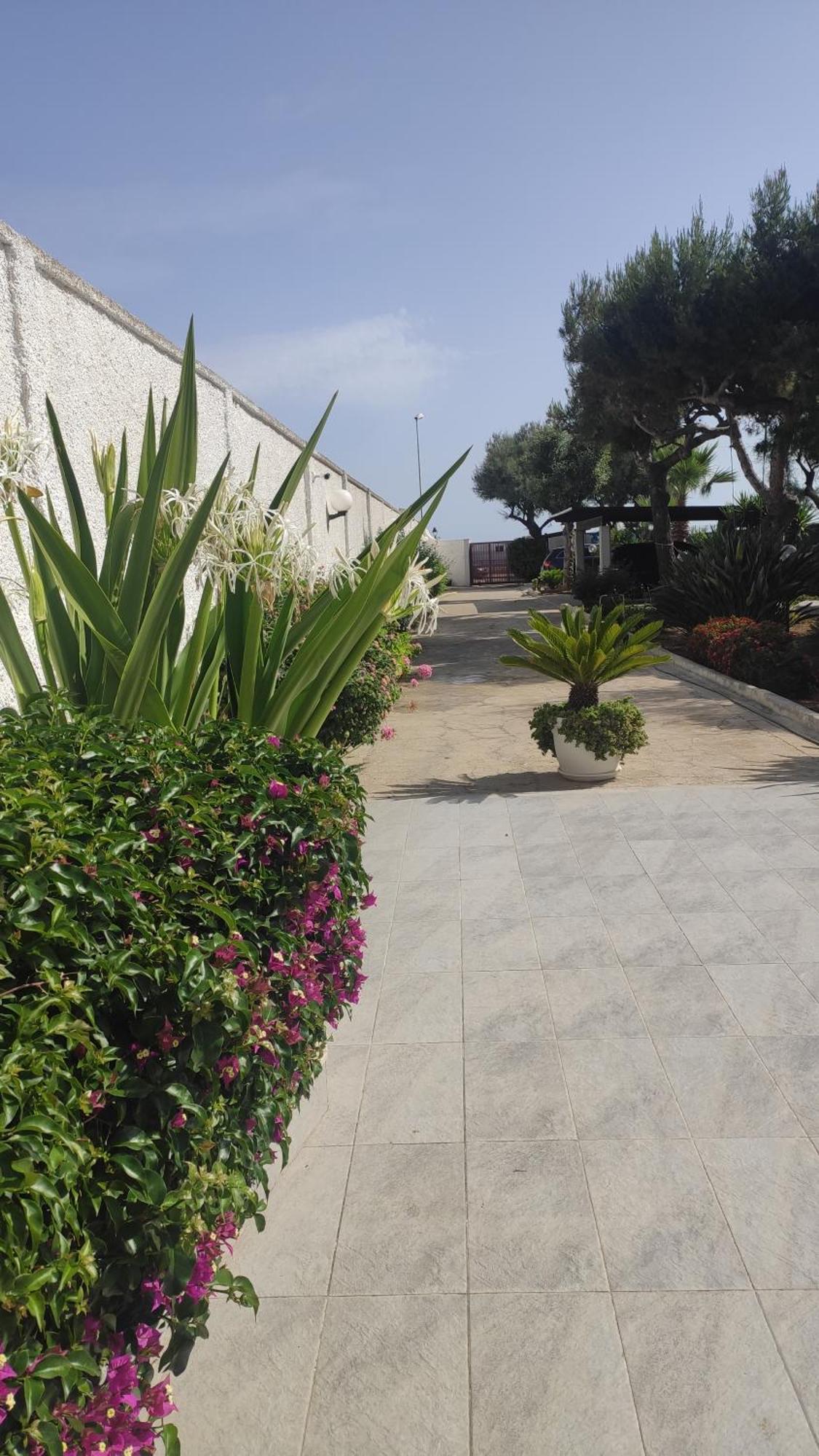 Seagull Apartments - Front And Sea View & Airport Bari Luaran gambar